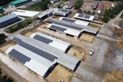 Foto6