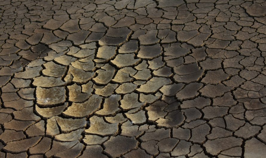 A mai naptól tartósan vízhiányos időszakot állapított meg a belügyminiszter