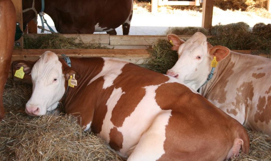 30 ezer kérelem érkezett be a válságkezelő program második körében