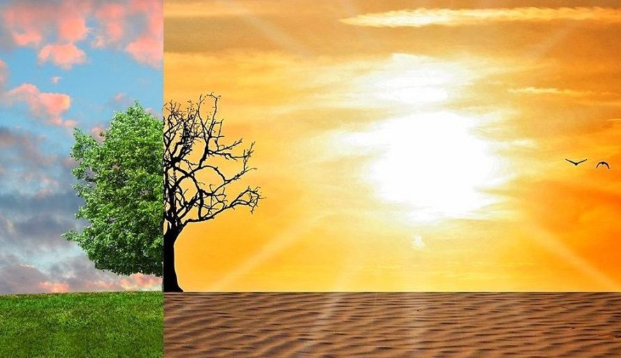 Uniós befektetések költségvetése 2020-ra: segítség az éghajlatváltozás elleni fellépéshez