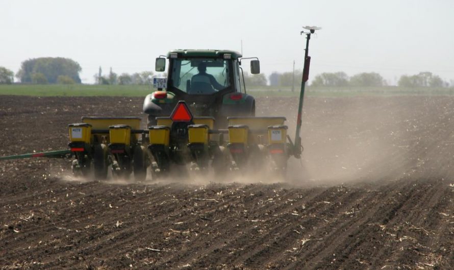 Közzétették az őszi kalászos vetőmagokra vonatkozó tájékoztató árat