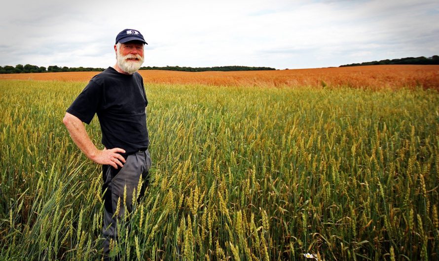Jön a nagy agráradózási reform: komoly változásokra készülhetnek az őstermelők