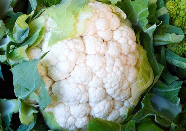 Szinte minden drágult: egy év alatt 31 százalékkal emelkedtek a mezőgazdasági termelői árak