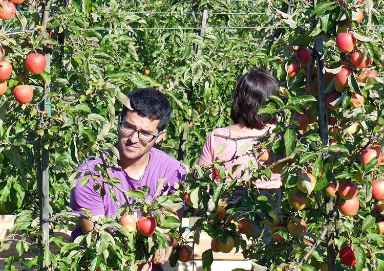 Az egész országban elindulnak az ellenőrzések – erre mindenkinek fel kell készülnie