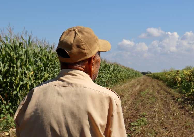 A gazdaságátadásnak nem is az adminisztráció a legnagyobb akadálya?