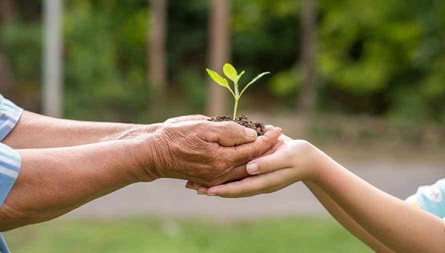 Új talajvédelmi kiadványt készített a Nemzeti Élelmiszerlánc-biztonsági Hivatal