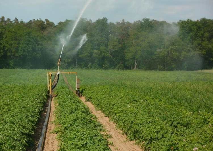 Lássunk tisztán! Mit jelent a szolgalmi jog és a vezetékjog?