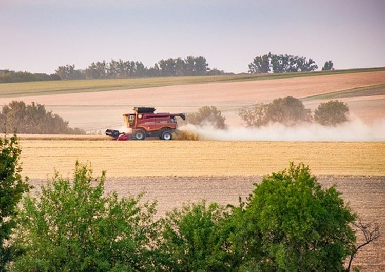 Jó, rossz, tragikus: itt vannak az országos terméseredmények!