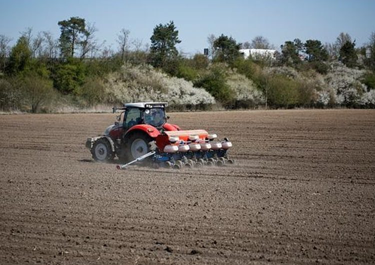 Támogatás: mentességi lehetőségeket közölt az Agrárminisztérium – mutatjuk, mire vonatkozik