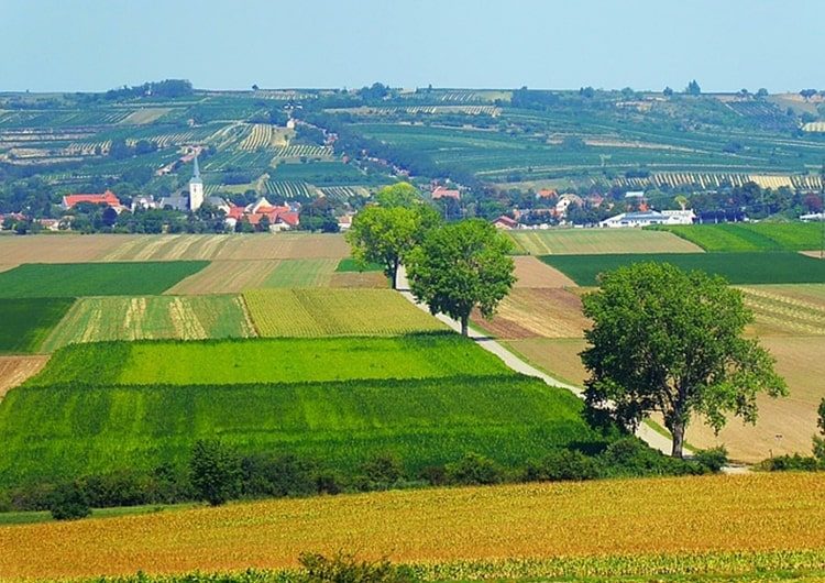 Nincs sok idő licitálni az eladásra kínált állami földekre