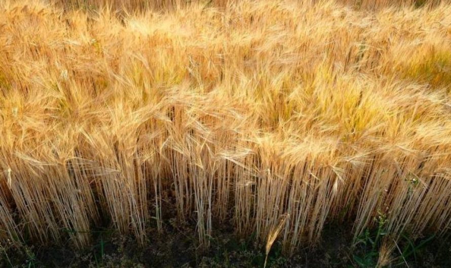 Több mint 300 milliárd forint – hamarosan érkezik a pénz!