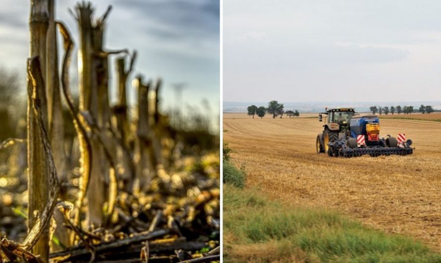 Mikrobiológiai készítmények alkalmazása és az agrár-ökológiai program
