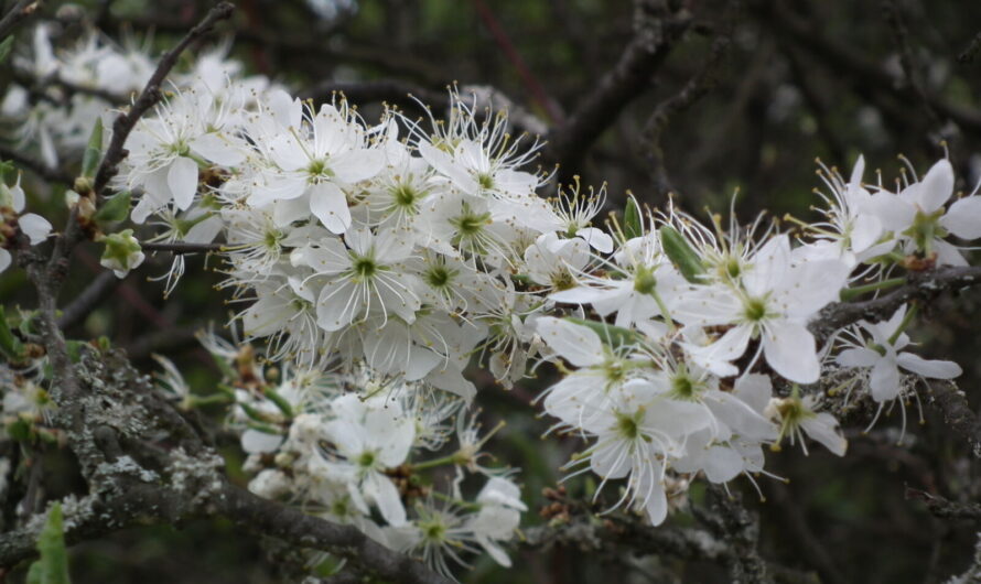 Zöld alapkövetelmények – ezekre figyeljünk a támogatások igénylésekor