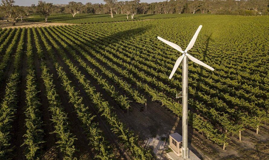 Módosult a rendelet: az üvegház és a pince építéséhez hasonlóan már a fagyvédelmi szélgép alapjához sem kell engedély