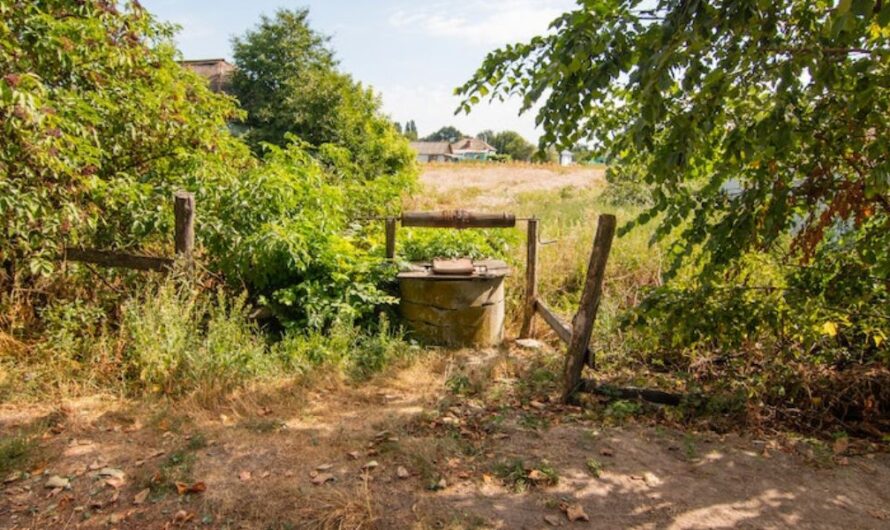 Kutakra vonatkozó új szabályozás: itt a segítség a megértéséhez!