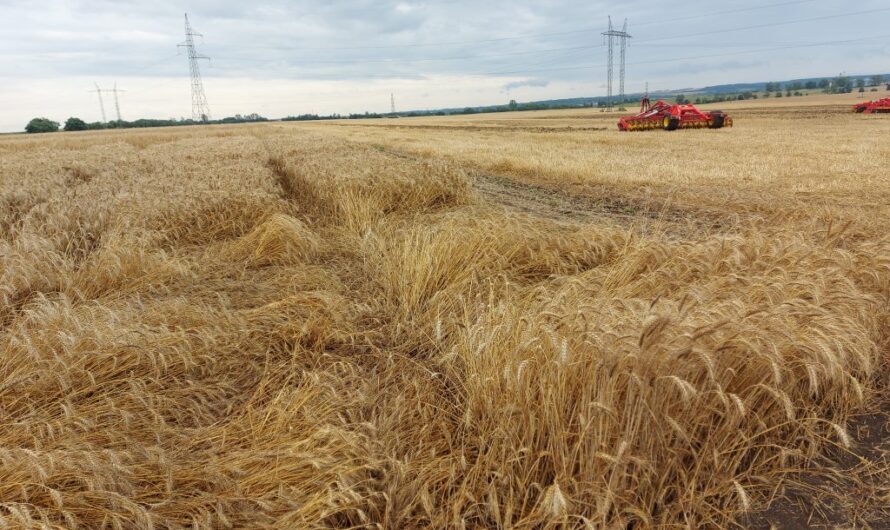 Mit tegyen, ha Területi Monitoring Rendszer végzést kap a gazda?
