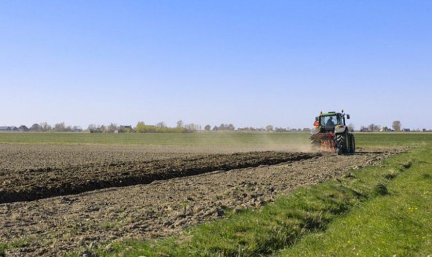 Az állami földek árverésének szabályai is változnak