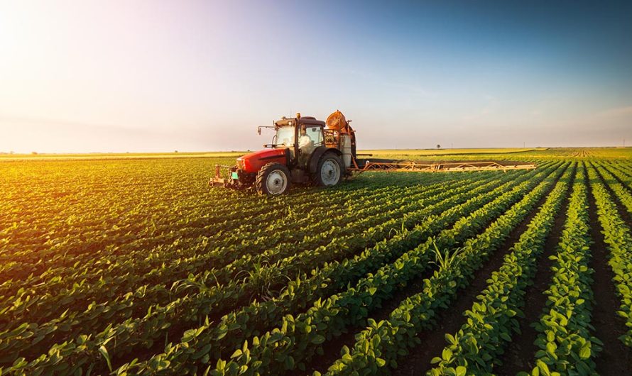 Brutális agrártörvénycsomag: 20 törvény módosítására tettek javaslatot