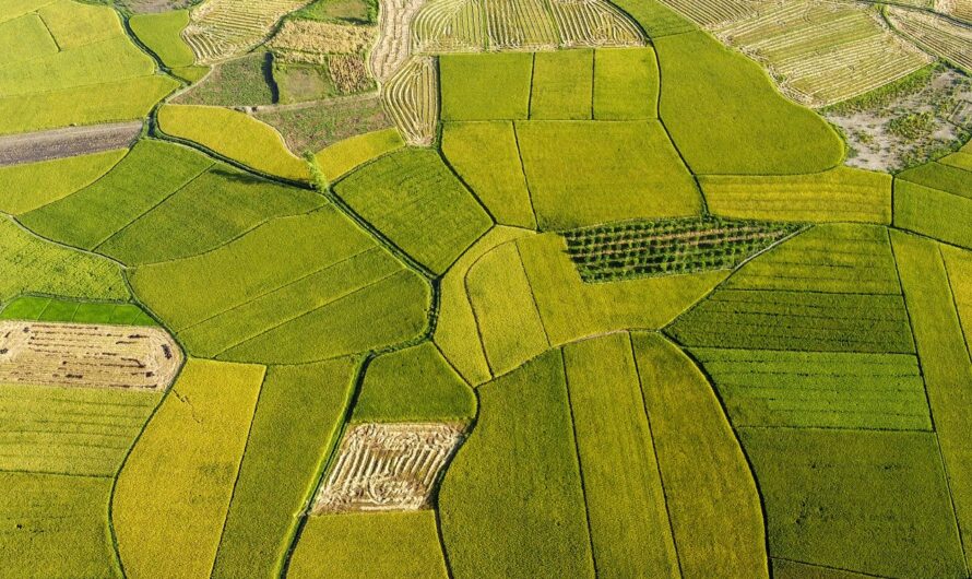 Mezőgazdasági művelés igazolása 1 ha alatti belterületi kivett művelési ágú telekre