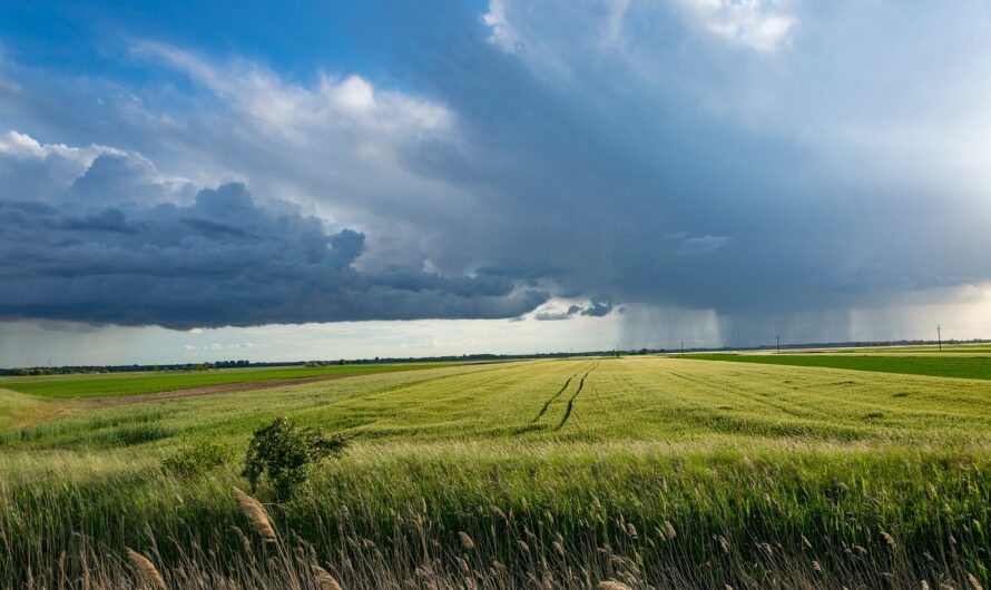 Ki örökölheti meg a földet végrendelet útján?
