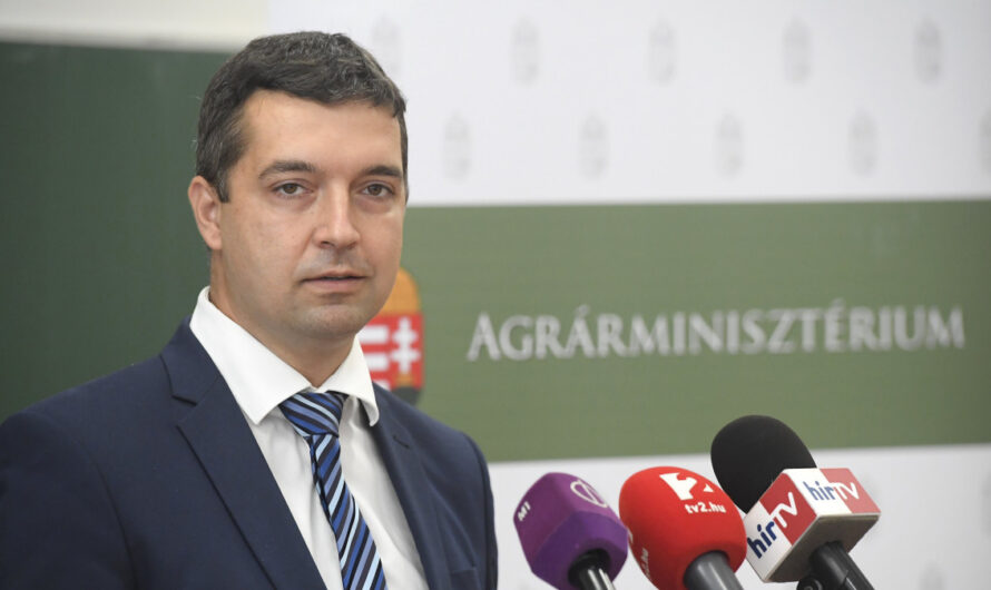 Feldman Zsolt: a kukorica helyett jön a cirok