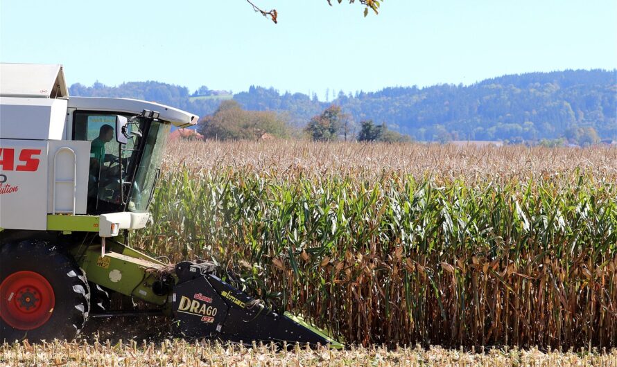 Tájékoztató kiadvány a családi gazdaságokról szóló törvényről