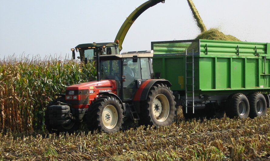 Komoly számok jöttek: ennyibe kerül most a búza és a kukorica itthon