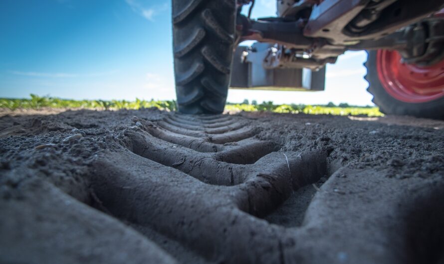 Szomorú valóság: tényleg alig vannak fiatalok a magyar mezőgazdaságban