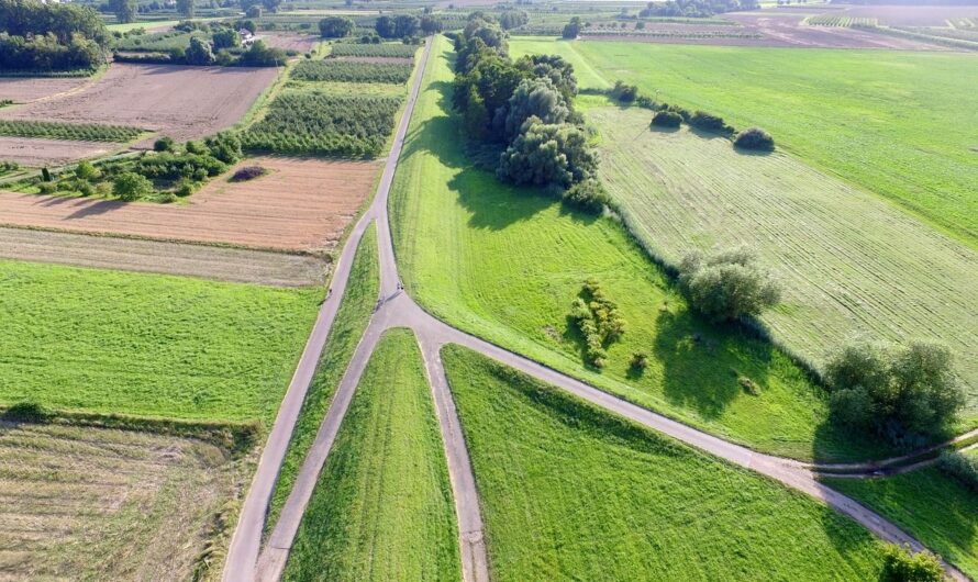 Több, mint 320 ezer hektár bioterület van Magyarországon