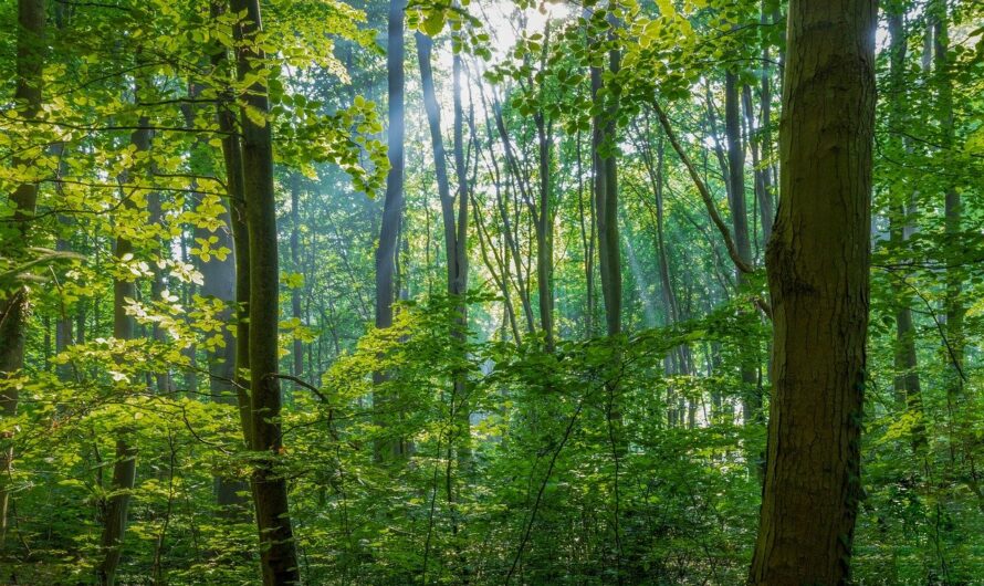 Ketyeg az óra: ezt még rengeteg magyarnak el kell intéznie április 30-ig