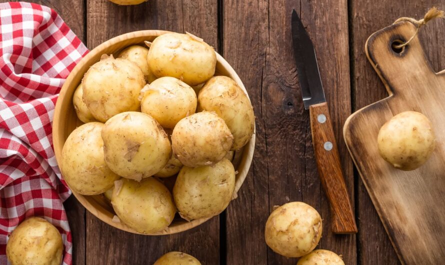 Döbbenetes hírek érkeztek a magyar burgonyáról: ezt sokan nem gondolták volna