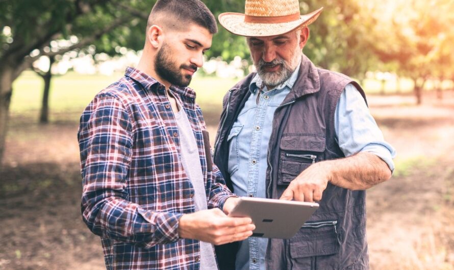 Gazdaságátadás támogatással – generációváltás a mezőgazdaságban