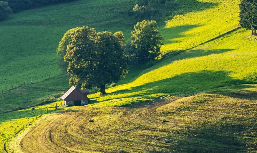 Fontos megtudni, milyen megvonások várhatóak az EU következő mezőgazdasági támogatásainál