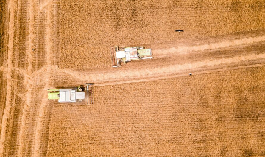 Óriási csalódás érheti a magyar gazdákat idén: erre jobb lesz felkészülni