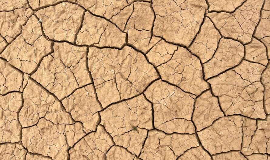 Kritikus a helyzet az európai földeken: ilyen még soha nem volt azelőtt