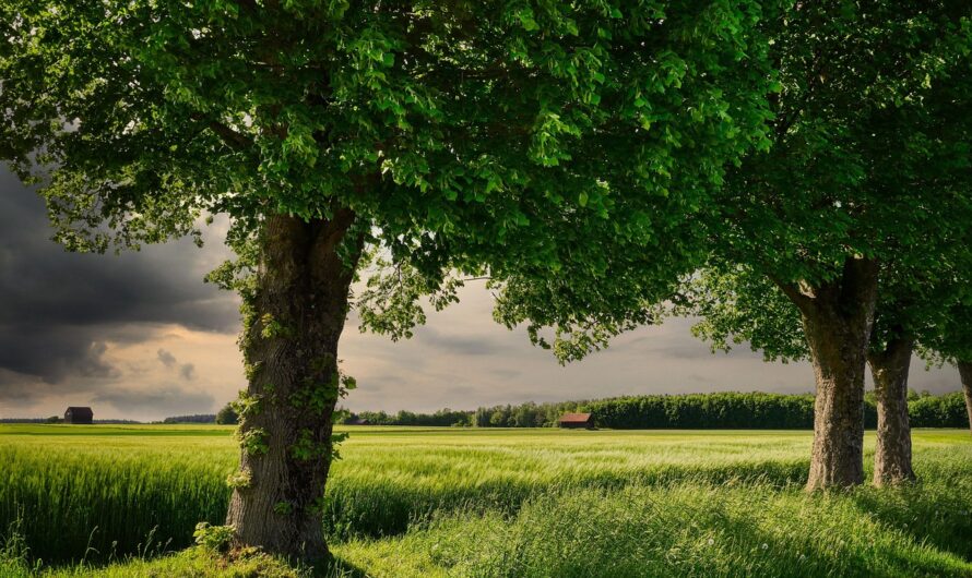 EP álláspont az EU agrárpolitikájának jövőjéről