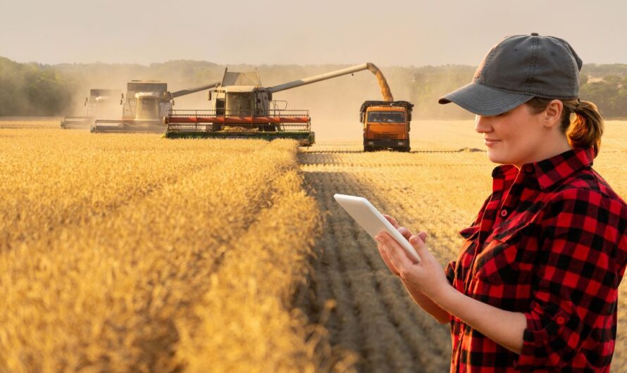 Nagy fába vágta a fejszéjét az EU – mi lesz a fiatalokkal?