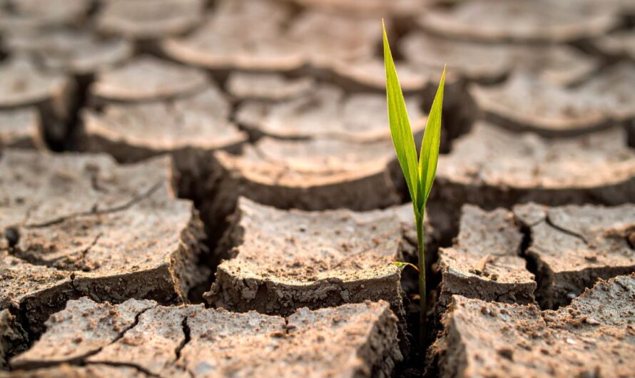 Egész Európában csúcstartó az alföldi csapadékhiány