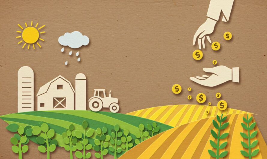 Tovább drágul a tápanyag-utánpótlás a hazai mezőgazdaságban