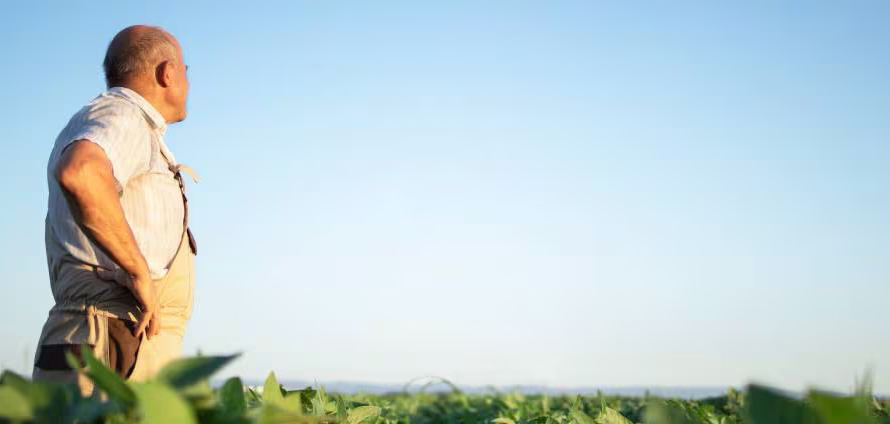 Parametrikus biztosítás: a kockázatkezelés új formája