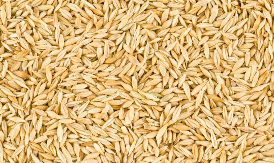 Túl sok az árpa, jövőre már csak ennyit adnának érte