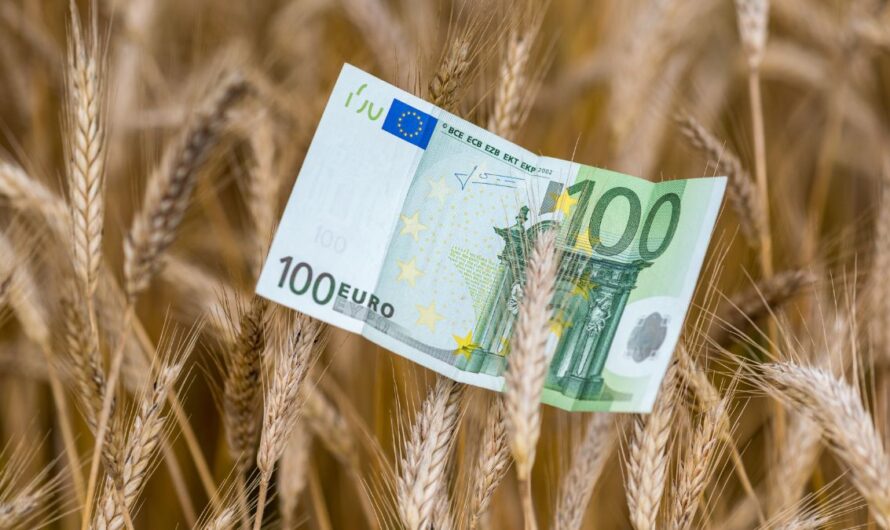 Olcsóbb hitel a pályázatokhoz: így működik a kamattámogatás