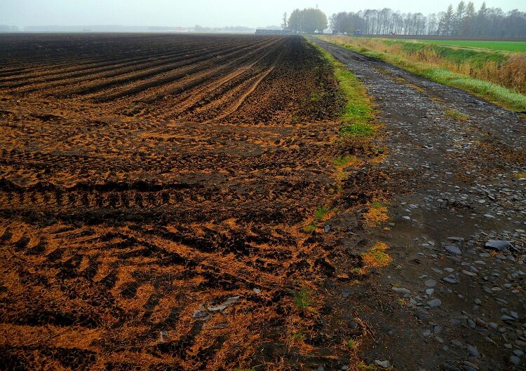 Haláleset a haszonbérletben: megszűnik vagy tovább él a szerződés?