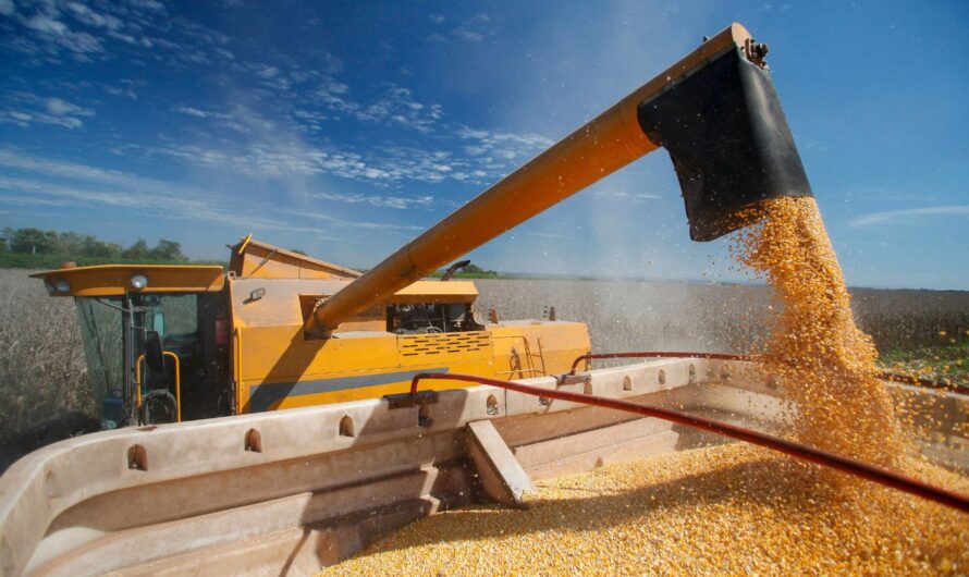 Őrület, mennyibe kerül most a búza, kukorica itthon: ezt látnod kell