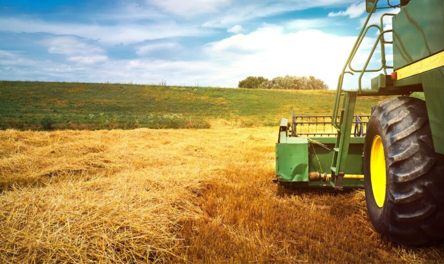 Tarolt az EU agrárkereskedelme 2025-ben