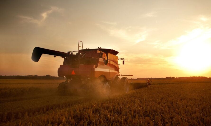 Nyomás alatt maradt a gabonapiac