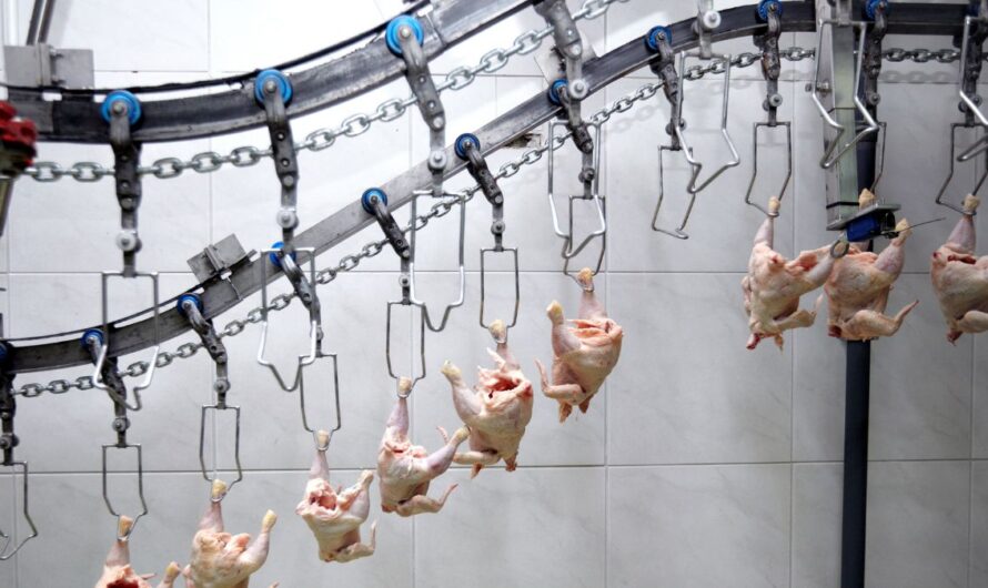 Veszélyben a haszon: áresés mellett kell talpon maradni