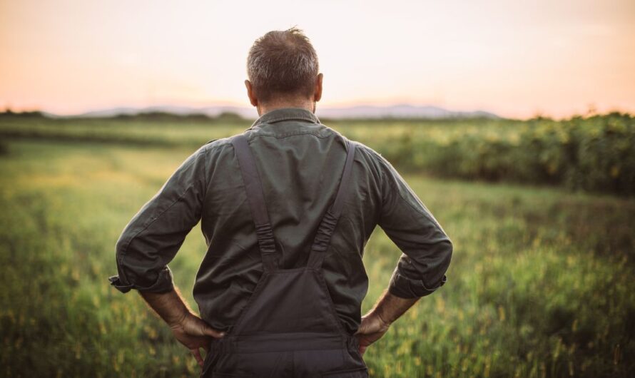 Nem volt valami fényes a tavalyi év az agráriumban
