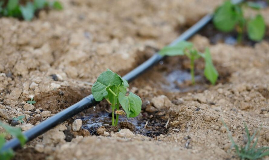 Vízdíjak a mezőgazdasági vízgazdálkodásban a hazai szabályozás és uniós elvárások tükrében