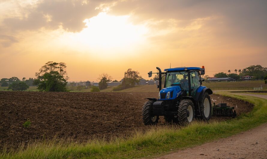 Szigorú tilalom: elkaszálja a földhivatal a túl kreatív haszonbérleti szerződéseket